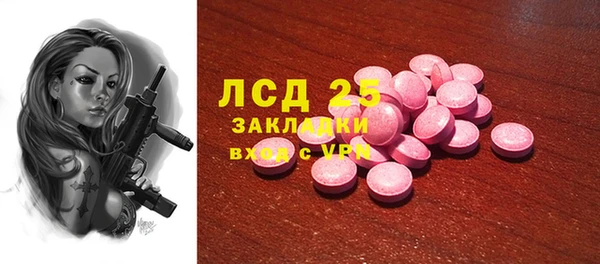 прущие грибы Балабаново