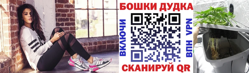 Канабис Ganja  купить закладку  shop формула  Зубцов  kraken  